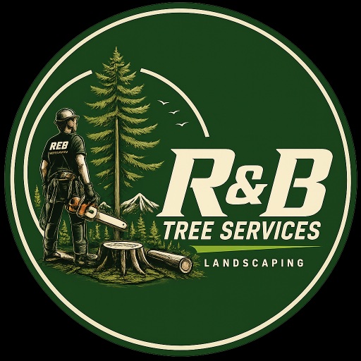 R&B S.